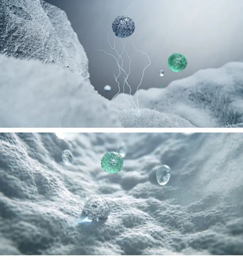 1652319359581618.jpeg 11545653A46E44-197C-27C9-CE3C-D0544172FDC6-1.jpeg